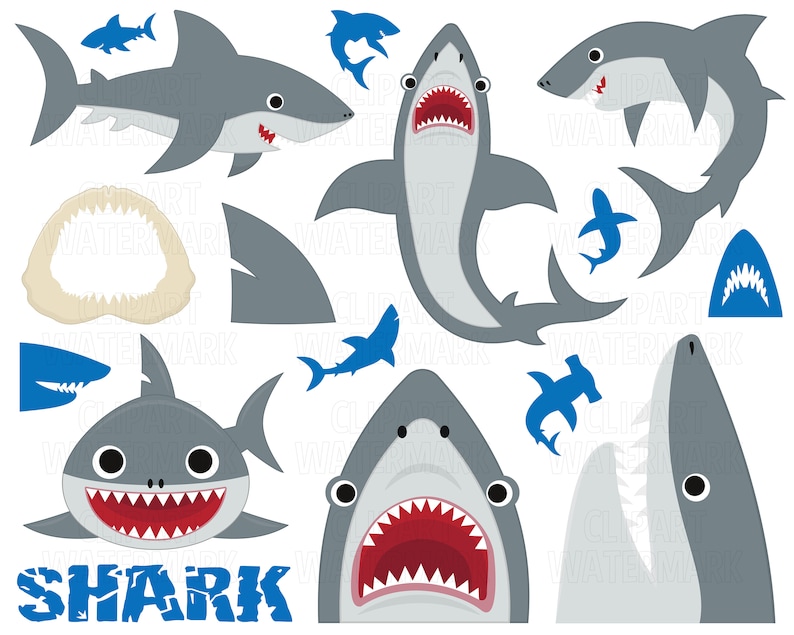 Shark Clipart, Cute shark Clipart, fish clipart, Baby Shark Clipart, Sea life, Oceans, PNG, SVG, Cute Shark Clipart, Commercial Use image 1