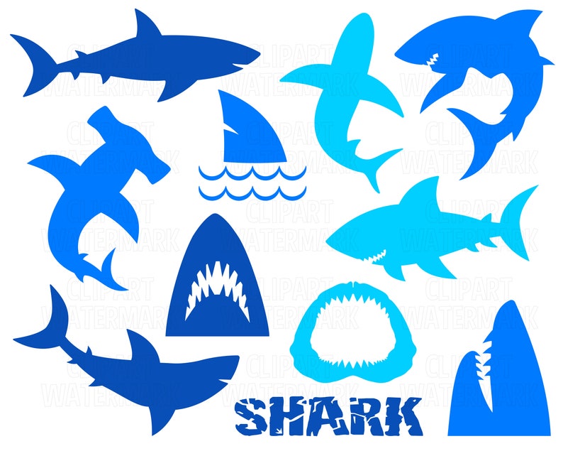 Peut inclure: Un ensemble de silhouettes de requins bleus, comprenant un requin marteau, une nageoire de requin, une gueule de requin et le mot "SHARK" dans une police de caract&egrave;res us&eacute;e.