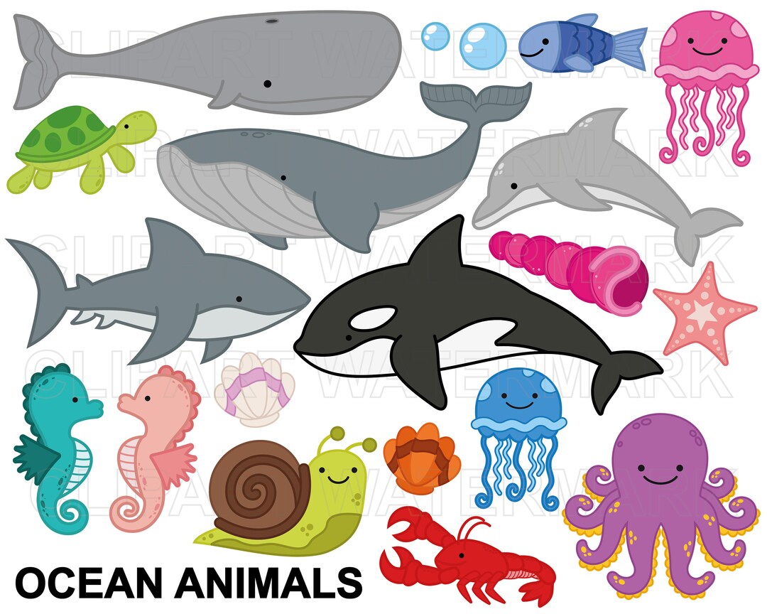 Ocean Animals Clipart Sea Creatures Whale Shark Dolphin Star Fish 