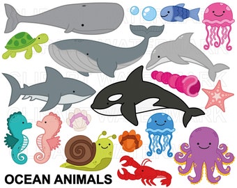 Oceaandieren clipart, zeedieren, walvis, haai, dolfijn, stervissen, schelpen clipart, klein commercieel gebruik, svg en png