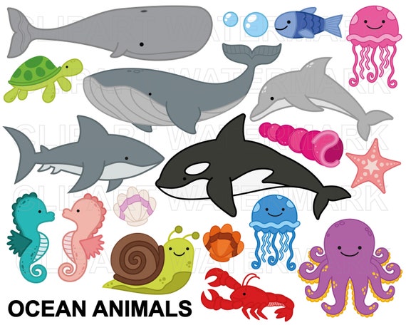 Ocean Animals Clipart, Sea Creatures, Whale, Shark, Dolphin, Star