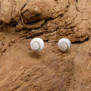 May include: A pair of silver stud earrings with a white and brown seashell design.