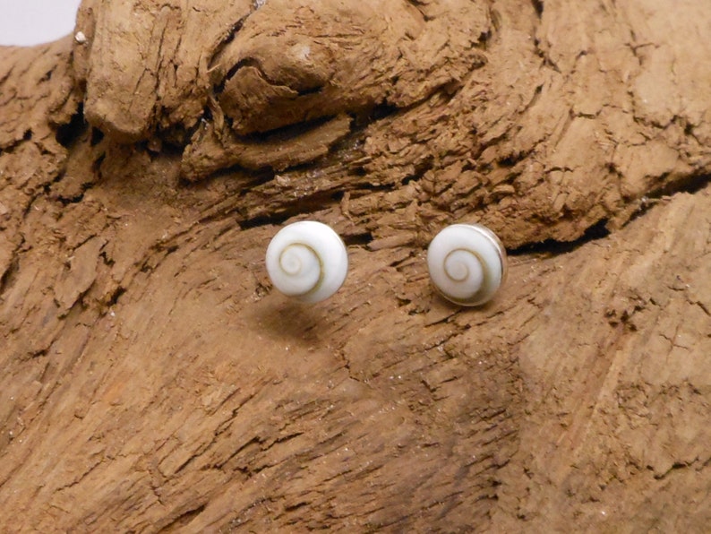 May include: A pair of silver stud earrings with a white and brown seashell design.