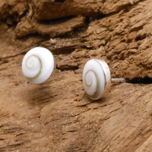 May include: A pair of silver stud earrings with a white and brown seashell design.