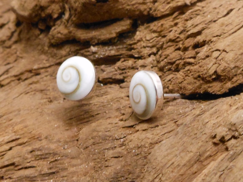 May include: A pair of silver stud earrings with a white and brown seashell design.