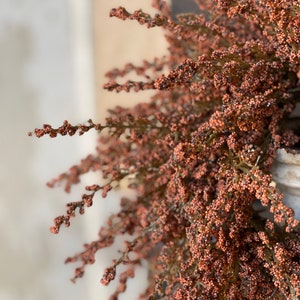May include: Close-up of a decorative floral arrangement with brown and orange berries. The arrangement features delicate branches with small, round berries, creating a textured and natural aesthetic. The color palette is warm and earthy, suitable for home decor.
