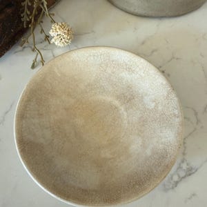 May include: A round ceramic saucer featuring a light beige glaze with a prominent dark brown crackle pattern throughout the surface. The dish has a smooth, slightly concave center and a raised rim, showcasing a weathered and textured appearance.