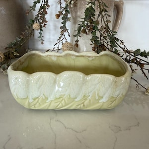 May include: A rectangular, light yellow ceramic planter with a scalloped rim and leaf pattern. The planter has a white, dripped glaze effect along the top edge. Decorative greenery and a vase are in the background.