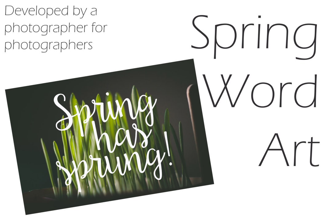 Spring Word Art Overlays - Etsy