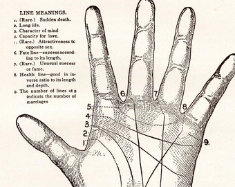 May include: A black and white illustration of a hand with lines drawn on it. The lines are numbered 1 through 9 and labeled with their meanings. The meanings include things like "sudden death", "long life", and "capacity for love".
