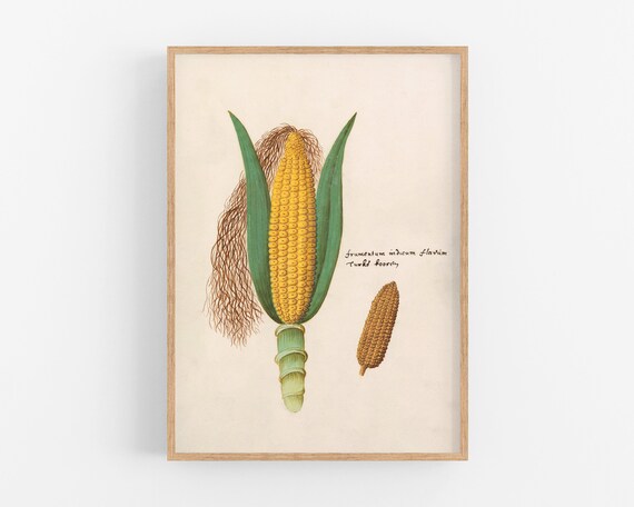 Worlds Best Farm Hand Corn on the cob - Cedar Ornament Worlds Best Farm Hand Corn on the cob - Cedar Ornament