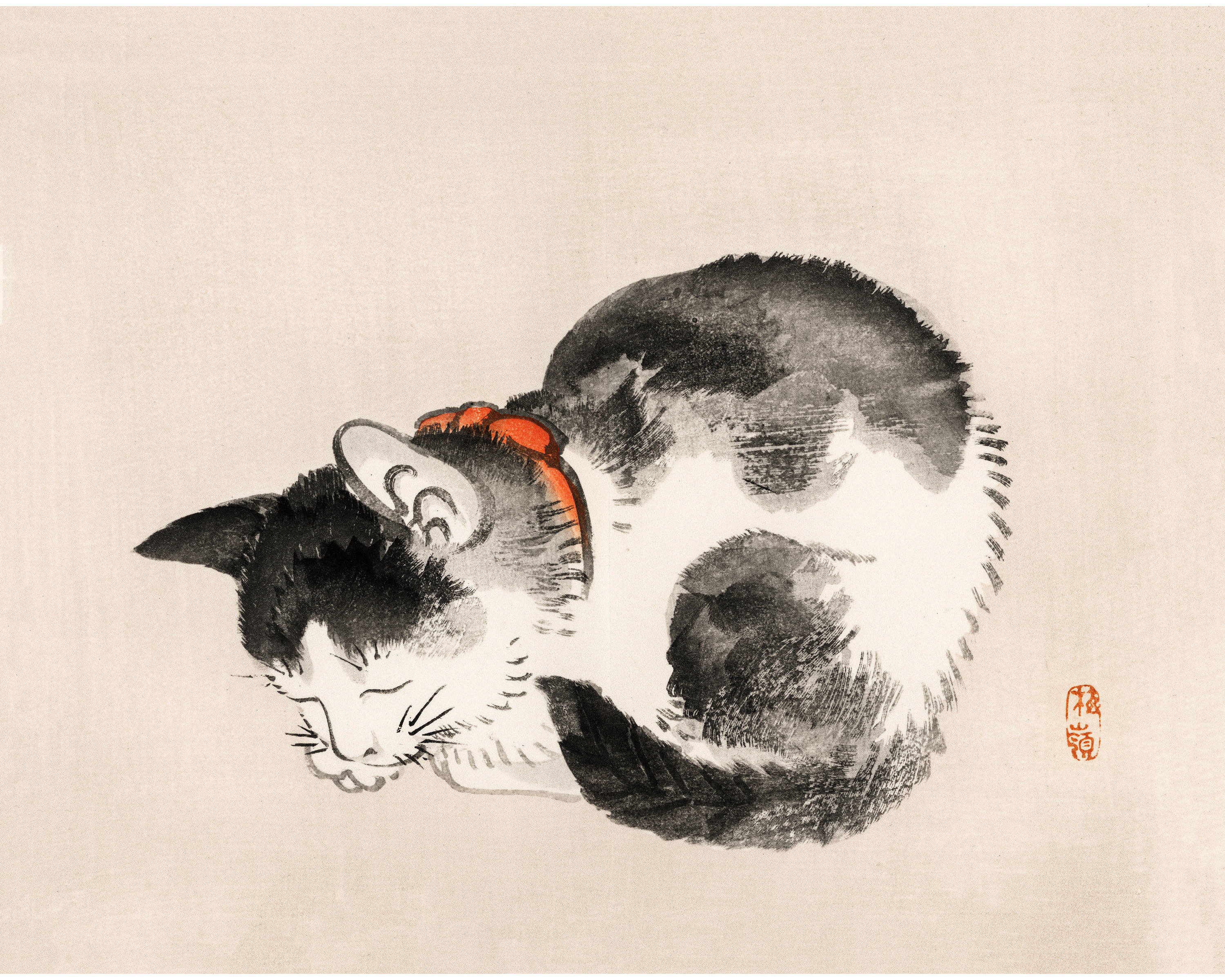 456_洋書/絵本「Animals Sleeping」 456_洋書/絵本「Animals Sleeping」 - メルカリ