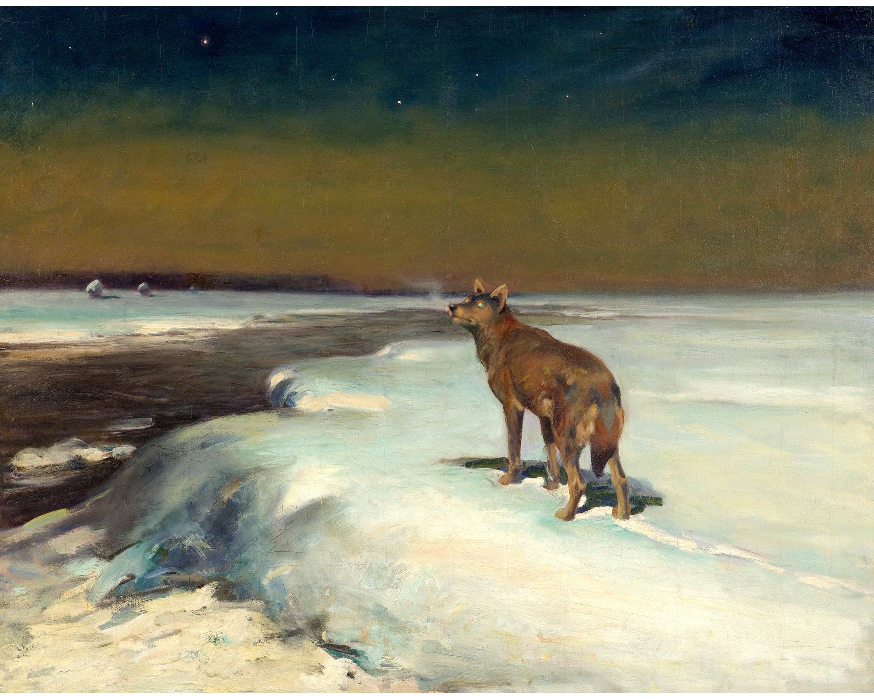 ロジァンコフスキー絵本ー「WILD  ANMALS  AT HOME」1935年 ロジァンコフスキー絵本ー「WILD ANMALS AT HOME」1935年