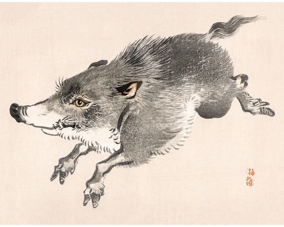 Vintage Japanese Wolf Art Print Kōno Bairei Woodblock Wild Animal Wall Art  Running, Smiling Wolf Modern, Minimal Asian Animal Art - Etsy Israel