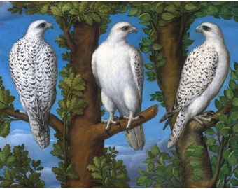 Vintage falcon art print | Portrait of a Gyrfalcon | Antique home decor | Bird and tree wall art | 16th century wall art