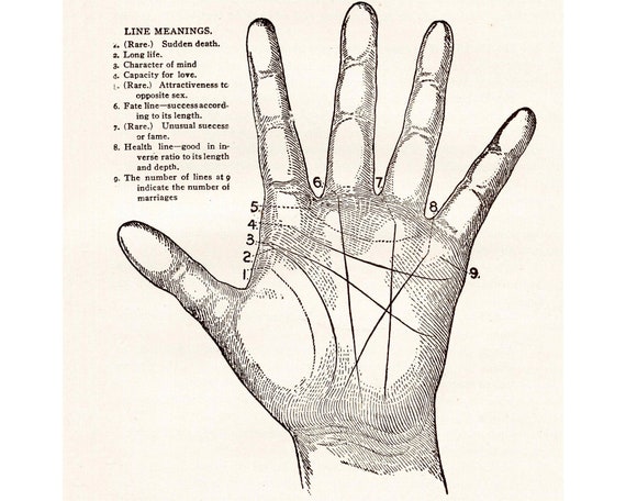Buy Vintage Palmistry Art Character Lines of the Hand Palm Reading Retro  Human Hand Illustration Modern Vintage Décor Online in India - Etsy