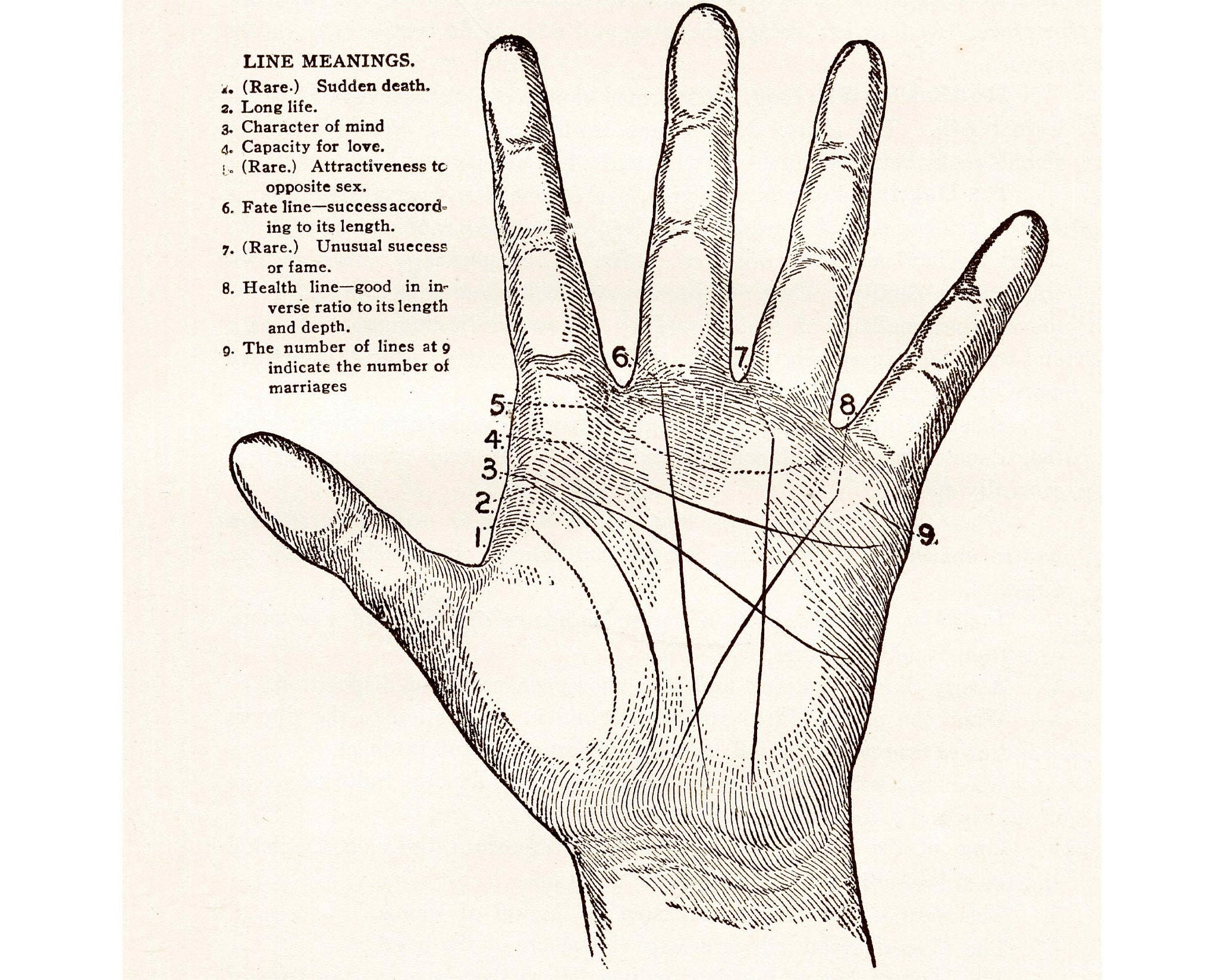 Palmistry |bracelets on wrist| #palmistry #palmreading #shorts #videos  #online #reels #wealth #rich #signs #learn #predict #marriage #love… |  Instagram