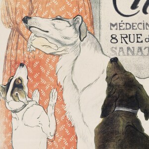 May include: A vintage poster advertising a veterinarian clinic. The poster features a woman in a red dress with two dogs looking up at her. The text on the poster reads "m&eacute;decin v&eacute;t&eacute;rinaire 8 RUE des Martyrs SANATORIUM".