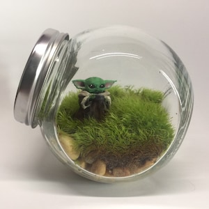 Special Space Baby Living Terrarium