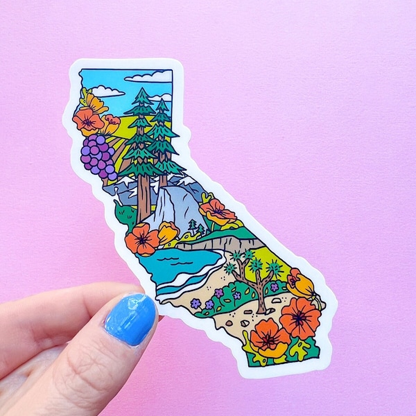 California State Landmark Sticker / California Poppy Sticker / California Souvenir / State Flower Sticker / Illustrated State Sticker
