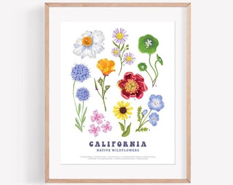 California Wildflowers Art Print / Wildflowers Illustration / Botanical Art Print / Poppy Peony Sunflower Art Print