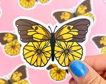 Dogface Butterfly Sticker / California State Insect Sticker / Native Bush Sunflower Waterproof Sticker