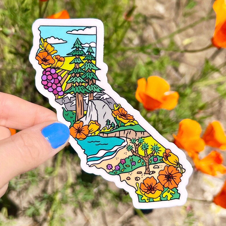 California Sticker Bundle / California Poppy Sticker Pack / California ...