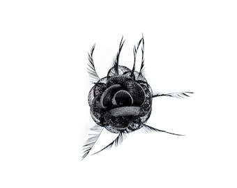 Black Classic Flower Fascinator  Clip and Brooch