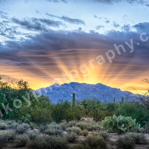 Maeveen Behan Desert Sanctuary2 digital download