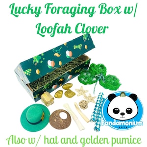 以下が含まれることがあります： 緑と金のフォージングボックスには、干し草、ロオファークローバー、帽子、金色の軽石、その他の自然なアイテムが入っています。ボックスは、クローバーと妖精の帽子で飾られています。ボックスには「Lucky Foraging Box w/ Loofah Clover」とラベルが貼られています。