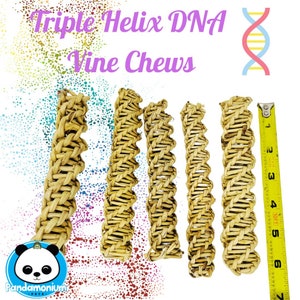 6&quot; Triple Helix DNA Vine Chews- Chew toys for Chinchillas, rats, rabbits, degus, hamsters