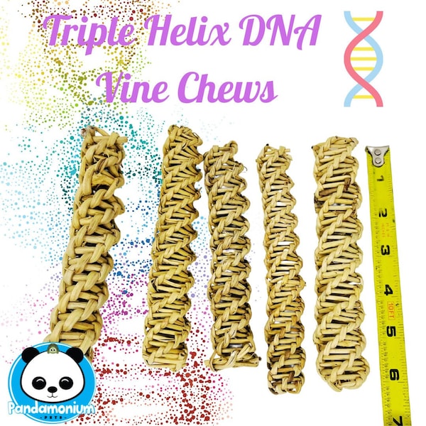 6" Triple Helix DNA Vine Chews- Chew toys for Chinchillas, rats, rabbits, degus, hamsters