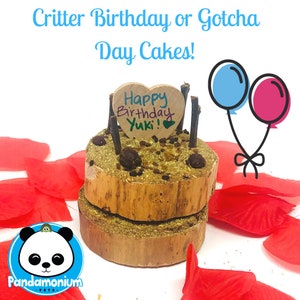 Critter Birthday or Gotcha Day Cakes- Also customizable for any occasion-chinchillas, degus, rats, rabbits and guinea pigs