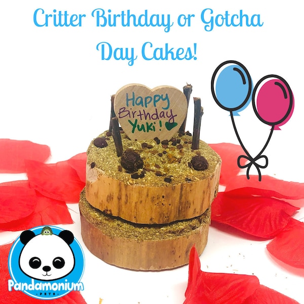 Critter Birthday o Gotcha Day Cakes- Personalizzabile anche per ogni occasione-cincillà, degus, ratti, conigli e porcellini d'India