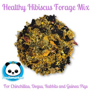 Healthy Hibiscus Forage Mix- w/ Dandelion, Chamomile and Calendula-Chinchillas, Degus, Rabbits & Guinea Pigs