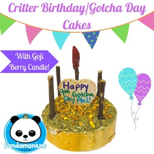 Critter Birthday/Gotcha Day Cakes w/ Goji Berry Candle- Also customizable for any occasion-chinchillas, degus, rats, rabbits and guinea pigs