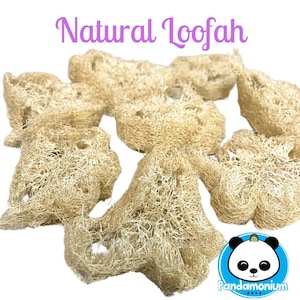 Natural Loofah
