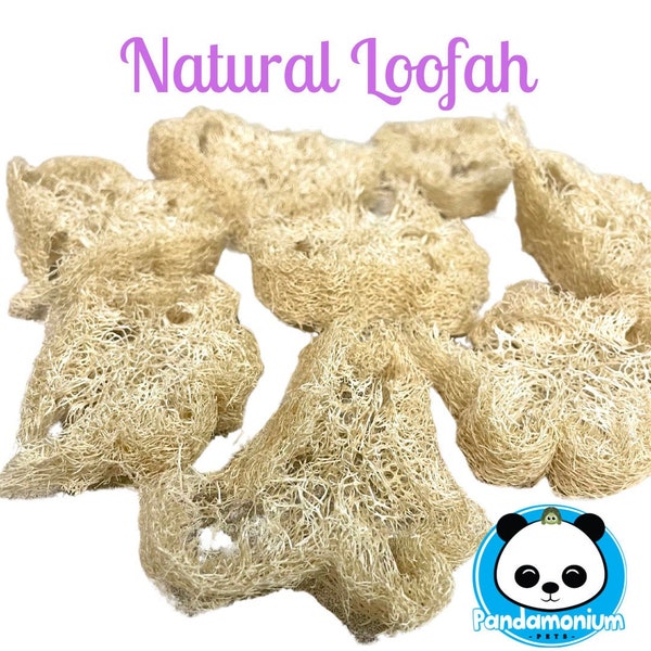 Natural Loofah