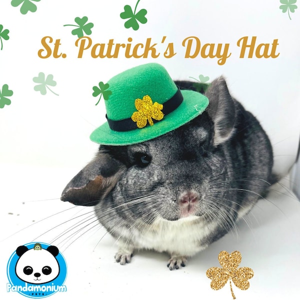 St. Patrick's Day Hat-For chinchillas, degus, rats, guinea pigs and rabbits