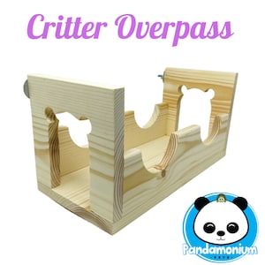 Critter Overpass
