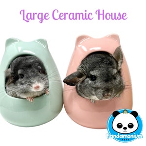 May include: Two chinchillas peek out of ceramic houses. The house on the left is light blue and the house on the right is pink. The houses have cat-like ears.