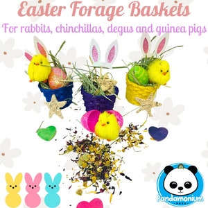 Easter Forage Baskets-great for chinchillas, rabbits, degus and guinea pigs