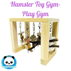 Hamster Toy Stand- Toy Gym