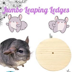 Jumbo Leaping Ledges-6" wide