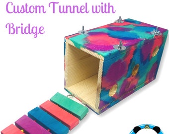 Custom Tunnel with Bridge