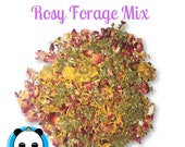 Healthy Rosy Forage Mix- w Raspberry Leaves, Lemon Balm and Calendula-Chinchillas, Degus, Rabbits Guinea Pigs