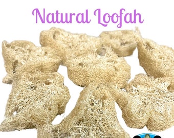May include: A close-up of a pile of natural loofahs, a type of sponge made from the dried fruit of the luffa plant. The loofahs are light brown and have a rough texture. The image also includes a logo for a company called "Pandamonium Pets".