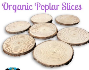 Organic Poplar Slices- chews for chinchillas, degus, rats, guinea pigs, rabbits etc.