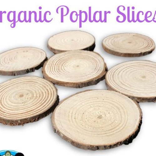 Organic Poplar Slices- chews for chinchillas, degus, rats, guinea pigs, rabbits etc.