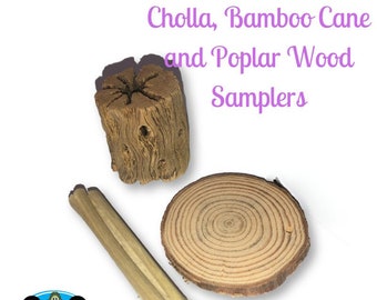 Cholla, Bamboo Cane and Poplar Wood Samples